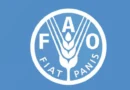 Kunming Biodiversity Fund Approves $5.8 Million in Funding for FAO-led Projects In Seven Countries