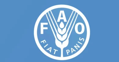 Kunming Biodiversity Fund Approves $5.8 Million in Funding for FAO-led Projects In Seven Countries