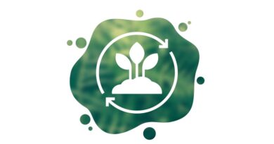 The Quiet Power of Biostimulants: Missing Link in Regenerative Agriculture