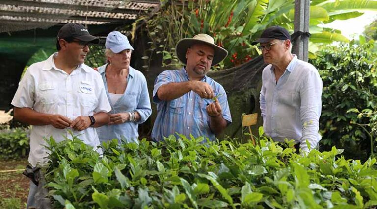 International Coffee Day: Rediscovering Coffee Diversity with CATIE’s William Solano