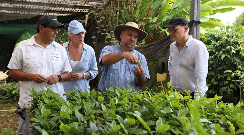 International Coffee Day: Rediscovering Coffee Diversity with CATIE’s William Solano