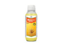 Bayer Launches New Herbicide ‘Mateno More’ for Wheat in India