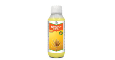 Bayer Launches New Herbicide ‘Mateno More’ for Wheat in India