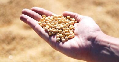 India’s Roadmap to Edible Oil Self-Reliance by 2047: Why the Government Must Lead from the Front