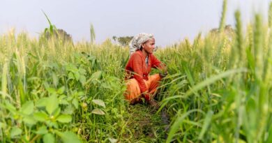 Government of India Delists Animal-Based Biostimulants under FCO 1985 Amendment