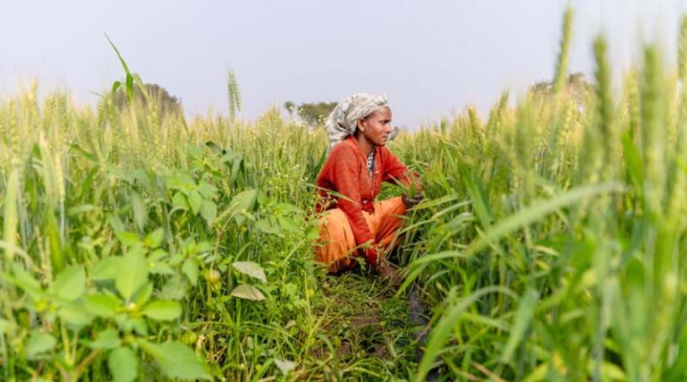 Indian Government Amends Fertiliser Control Order, Omits Animal Source Protein Hydrolysates and Biostimulant Mixtures