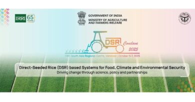 DSR Conclave 2025 to convene leaders on climate-smart rice systems in Varanasi