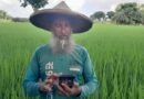 Meet Shahadul Islam: The Rice Farmer Using Digital Tools To Improve Yield And Quality