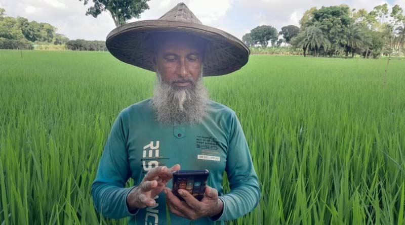 Meet Shahadul Islam: The Rice Farmer Using Digital Tools To Improve Yield And Quality