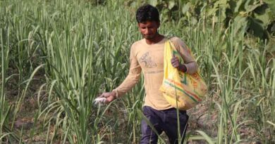 Government of India Directs Mandatory Printing of QR Codes on Biostimulant Product Labels to Curb Counterfeiting
