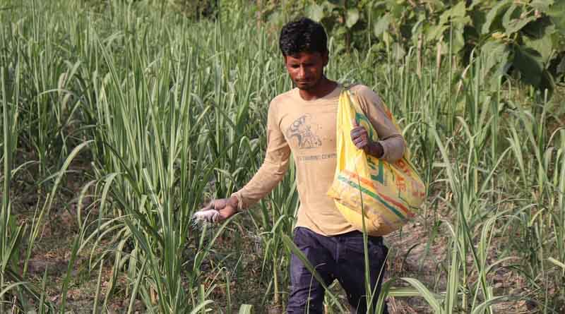 Government of India Directs Mandatory Printing of QR Codes on Biostimulant Product Labels to Curb Counterfeiting