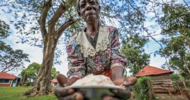 World Food Day 16 October: A Hungry World Knows No Borders