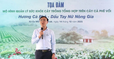 Plant Health Management Helps Increase Coffee Yield Up To 15%