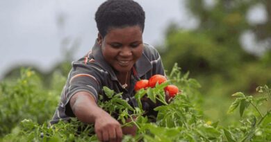 Pesticide Risk Reduction Supports Sustainable Food Systems – Here’s How