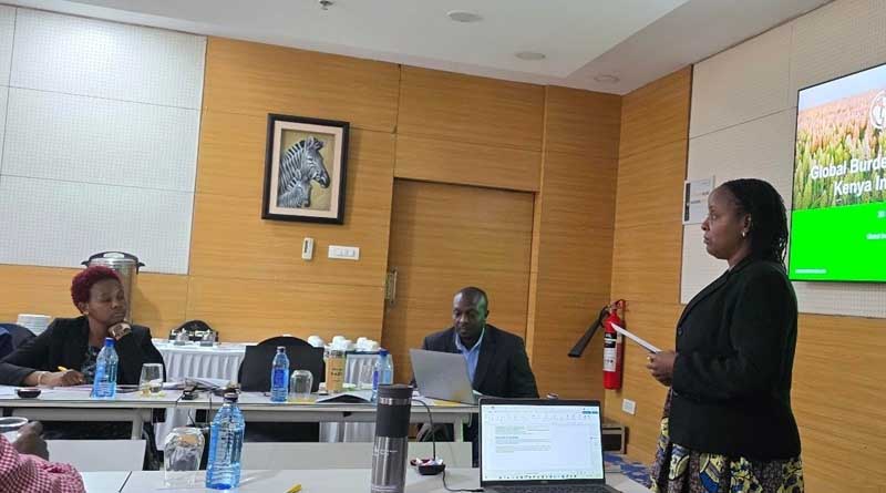 CABI Workshop Explores Gendered Impact Of Maize Crop Loss In Kenya