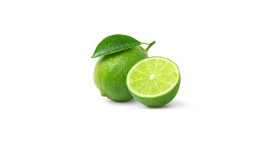 BASF Aroma Ingredients launches New Isobionics® Natural Lime Flavor Ingredient With High Purity