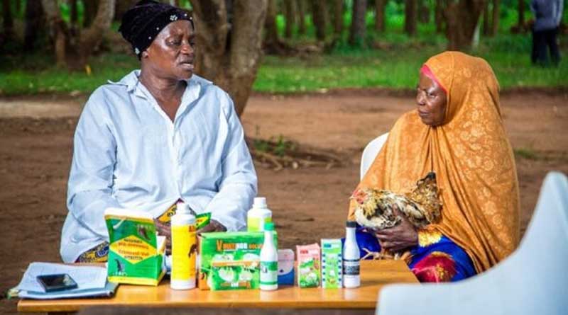 CABI Study Reveals Major Inequalities In Global One Health Research