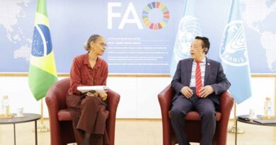 Bilateral meeting with H.E. Marina Silva, Minister for the Environment and Climate Change of the Federative Republic of Brazil