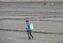 Trends in Crop Protection Technology