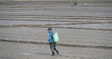Trends in Crop Protection Technology