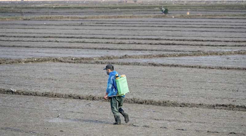 Trends in Crop Protection Technology