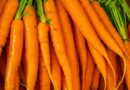 Philippines Intercepts Us$227,000 Worth of Misdeclared Carrot Imports From China Amid Anti-Smuggling Crackdown