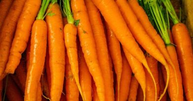 Philippines Intercepts Us$227,000 Worth of Misdeclared Carrot Imports From China Amid Anti-Smuggling Crackdown