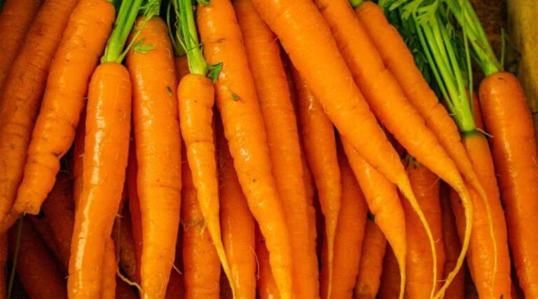 Philippines Intercepts Us$227,000 Worth of Misdeclared Carrot Imports From China Amid Anti-Smuggling Crackdown