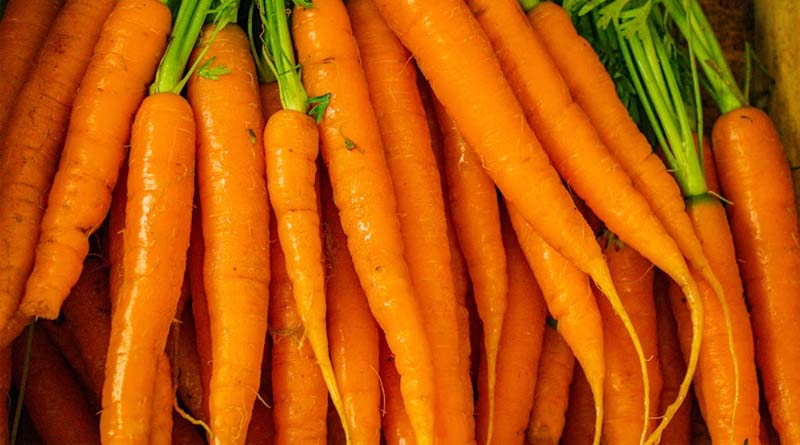 Philippines Intercepts Us$227,000 Worth of Misdeclared Carrot Imports From China Amid Anti-Smuggling Crackdown