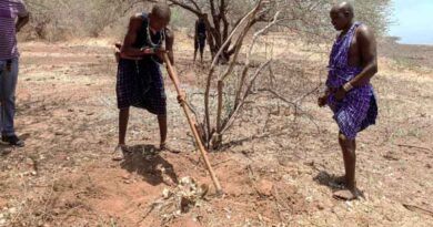 The Silent Invasion: A Community’s Fight To Reclaim Its Land From Invasive Prosopis Weed