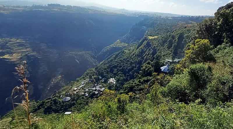 Research Reveals The Genetic Diversity Of Trees In Ethiopia’s ‘Church Forest’