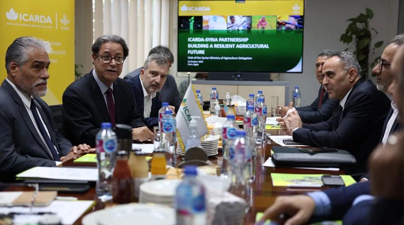 ICARDA and the Syrian Ministry of Agriculture Convene High-Level Consultation to Advance the Rehabilitation of Syria’s Agriculture Sector