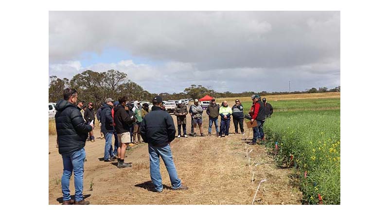 Another Successful Season At Lock Trial Site