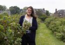 Unlocking The Fresh Market Potential Of Blackcurrants