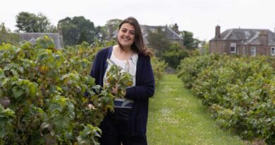 Unlocking The Fresh Market Potential Of Blackcurrants Unlocking The Fresh Market Potential Of Blackcurrants