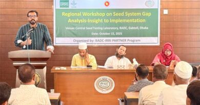 Bridging Gaps In Bangladesh’s Rice Seed System