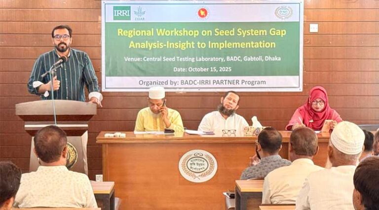 Bridging Gaps In Bangladesh’s Rice Seed System