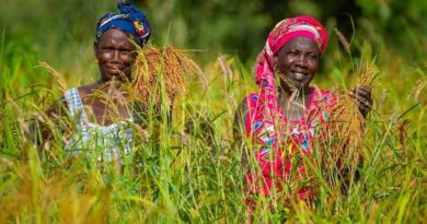 African Development Bank Group Receives $14 Million in First Funding Allocation Under Global Agriculture and Food Security Program’s New Private Sector Financing Window