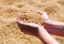 Why India’s Edible Oil Industry Must Modernise to Cut Imports and Boost Farmer Incomes