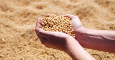 Why India’s Edible Oil Industry Must Modernise to Cut Imports and Boost Farmer Incomes Why India’s Edible Oil Industry Must Modernise to Cut Imports and Boost Farmer Incomes