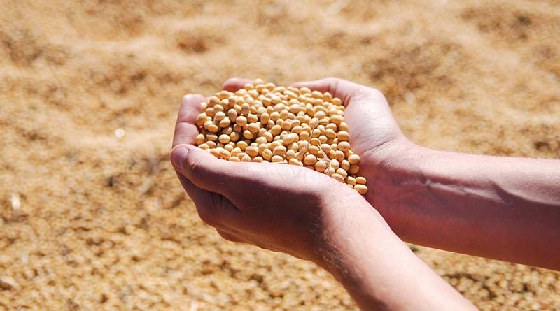 Why India’s Edible Oil Industry Must Modernise to Cut Imports and Boost Farmer Incomes