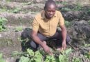 Meet Ignitious Chilembo, A Zambian Researcher Championing Responsible Pest Management