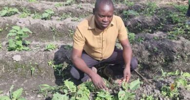 Meet Ignitious Chilembo, A Zambian Researcher Championing Responsible Pest Management