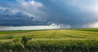 Fertilizer Industry Calls for Practical Policy Solutions to Support Farmers and Strengthen Supply Fertilizer Industry Calls for Practical Policy Solutions to Support Farmers and Strengthen Supply