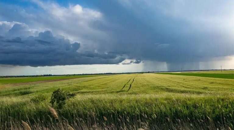 Fertilizer Industry Calls for Practical Policy Solutions to Support Farmers and Strengthen Supply