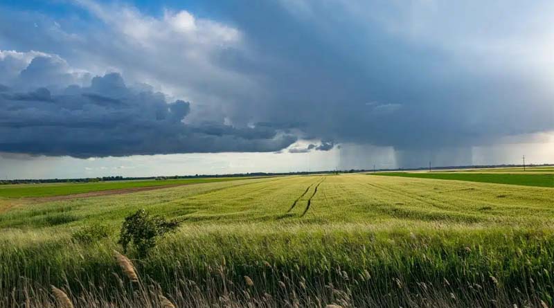 Fertilizer Industry Calls for Practical Policy Solutions to Support Farmers and Strengthen Supply