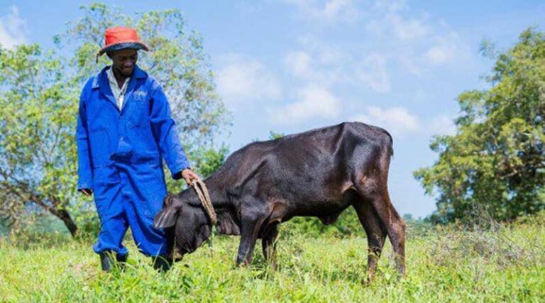 Integrated Surveillance Tops Future One Health Research Priorities