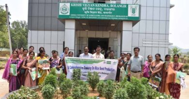 Enhancing Decentralized Seed Production of Healthier Rice in Odisha
