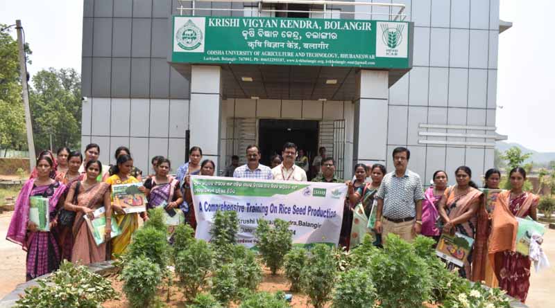 Enhancing Decentralized Seed Production of Healthier Rice in Odisha