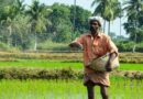 India: Cabinet Approves Nutrient-Based Subsidy Rates for Rabi 2025-26 on Phosphatic and Potassic Fertilizers